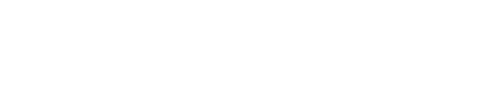 Nest Seekers Logo